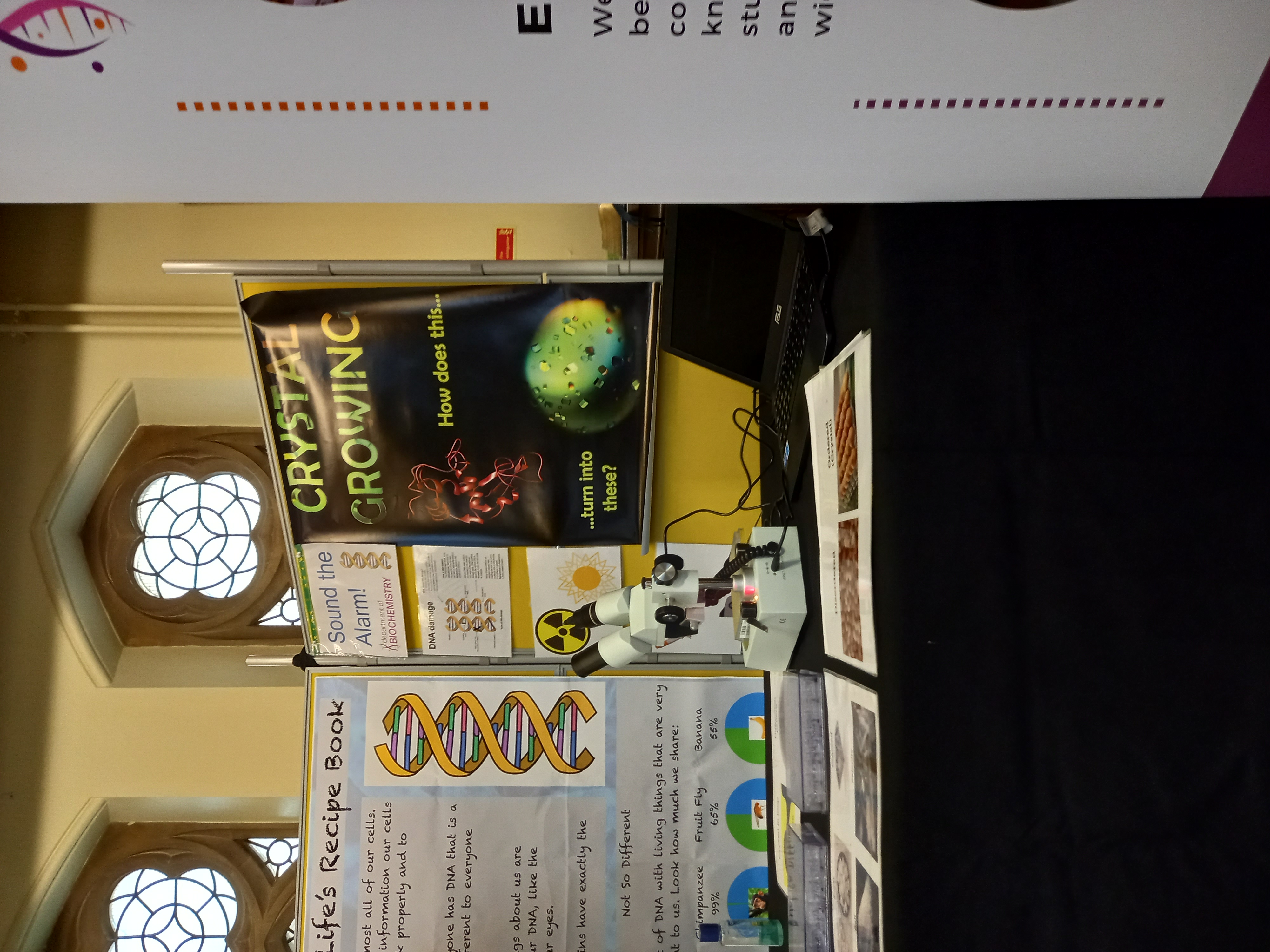 The Biochemistry stall at the Oxford IF Festival