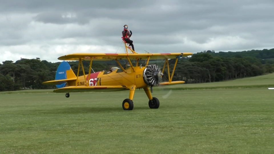 rita wingwalk