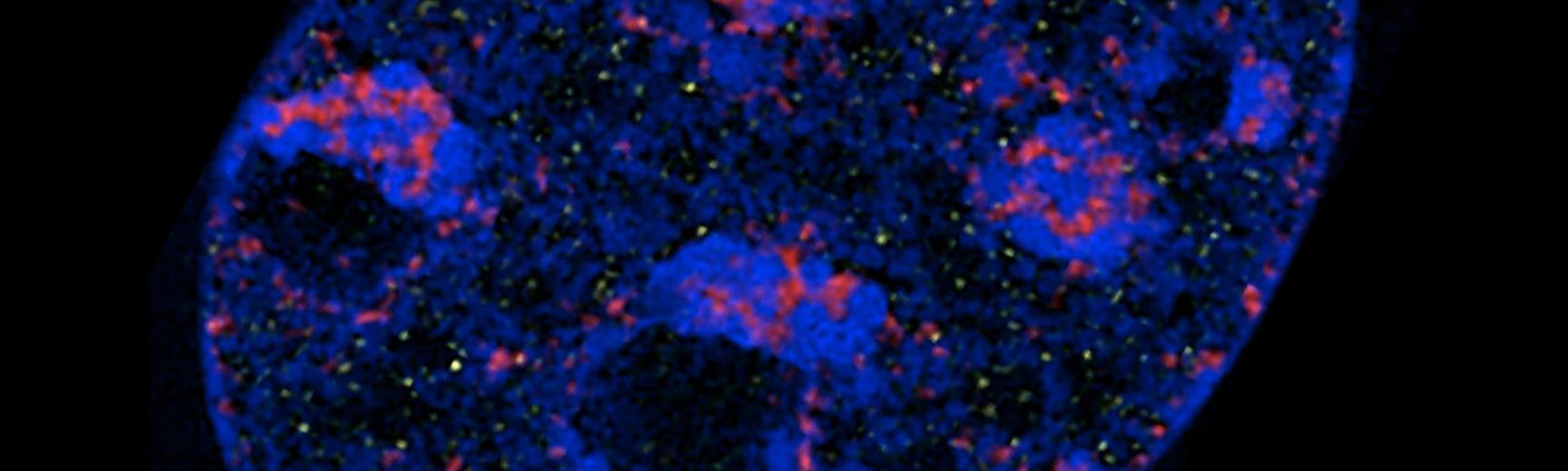 chromosome and rna biology 1800x840 v2