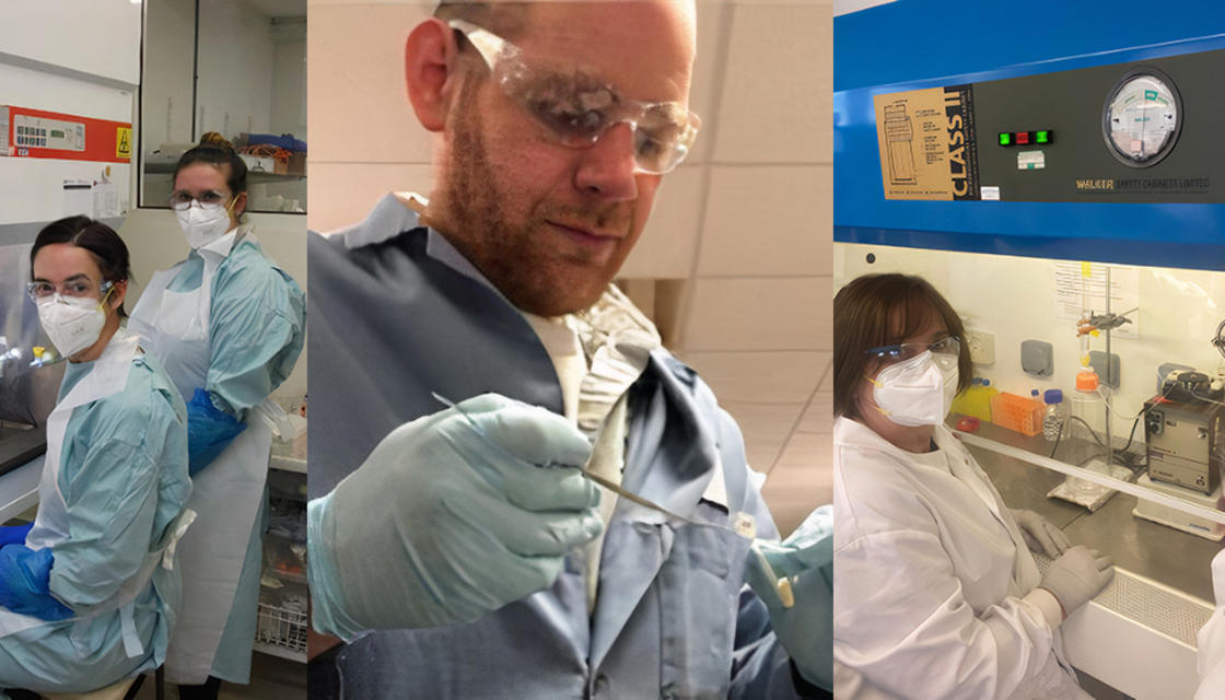 SARS-CoV-2 Spike protein glycosylation: a vaccine quality control