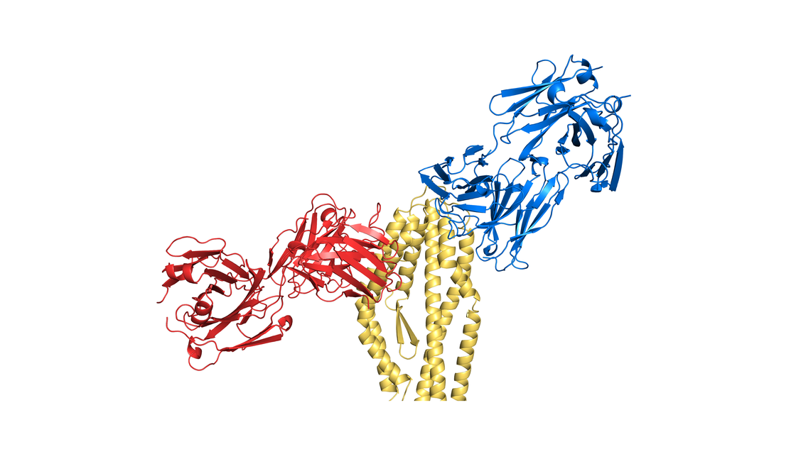 Stopping the malaria parasite in its tracks | Biochemistry