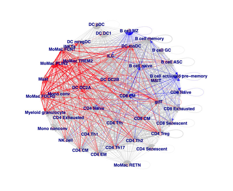 Mapping the differences in immune cell interactions between patients who have different immune responses to their pancreatic tumours Mapping the differences in immune cell interactions between patients who have different immune responses to their pancreatic tumours