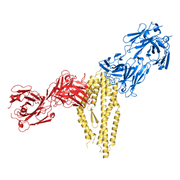Figure1 figure1