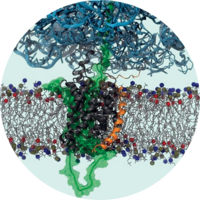 molecular biophysics